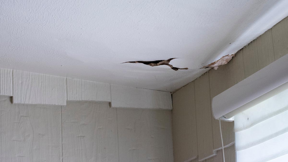Top water damage signs to watch out for before your house has serious problems.