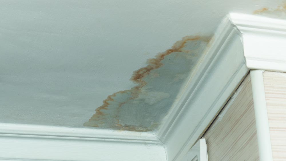 Water damage shows with ceiling or wall stains in Spokane, WA
