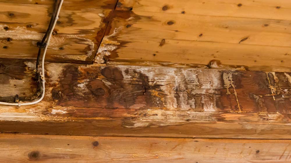 Repair or restore water damaged wood in your Spokane home
