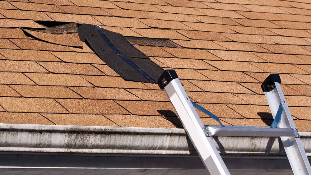 Roof damage to shingles and gutters