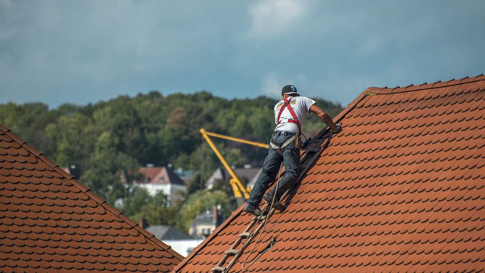 For water damage preventive measures, schedule regular roof inspections & repairs.