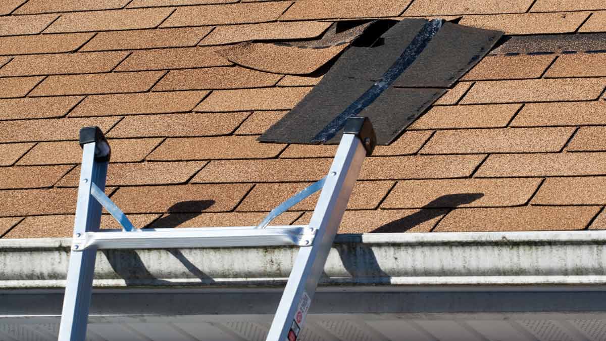 Need a roof leak repair in Spokane WA?