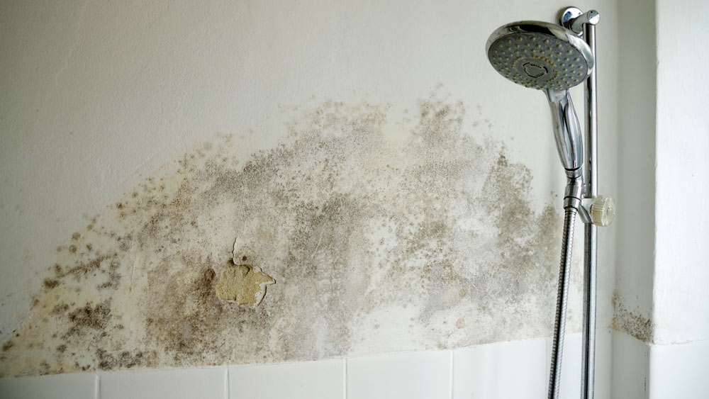Unknown leaks can cause damage over time leading to mold.
