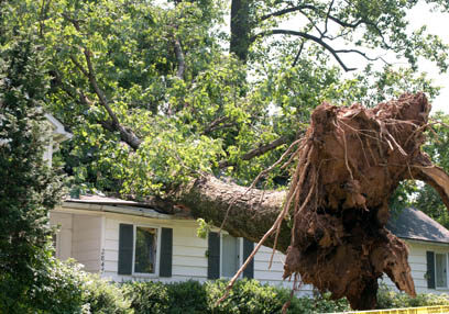 High winds & hurricane damage repairs in Spokane, WA